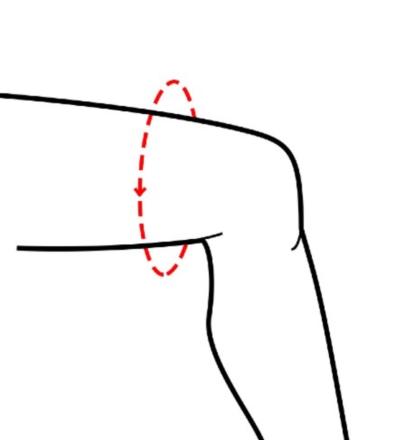 Thigh Circumference Diagram 